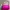 Mango Futurist Wanita Pink