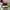 Onitsuka Tiger Streetwear Sneakers Pria multicolor photo 4