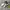 Onitsuka Tiger Streetwear Sneakers Pria multicolor photo 1