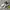Onitsuka Tiger Streetwear Sneakers Pria Multicolor