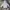 Carhartt Streetwear Hoody Pria gray photo 1