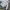 Carhartt Streetwear Hoody Pria gray photo 2
