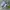 Nike Streetwear Sportswear Sneakers Pria white green photo 1