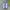 Nike Streetwear Sportswear Sneakers Pria white green photo 3