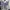 Futurist Crop top Wanita white blue photo 2