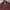 Japanese brand Casual Casual shirt Pria silver burgundy photo 3
