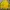 Carhartt Casual Suit Pria yellow photo 3