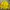 Carhartt Casual Suit Pria yellow photo 2