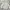 Polo Ralph Lauren Casual Trench Coat Pria Tan Cream