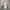 Polo Ralph Lauren Casual Trench coat Pria tan cream photo 5