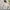 Vintage Casual Fleece Pria gray photo 1