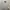 Oakley Casual Polo shirt Pria gray photo 3