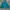 The North Face Sportswear Windbreaker Pria multicolor green photo 1