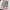 Louis Vuitton Y2K Tote bag Wanita white pink photo 3
