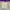 Vintage Y2K Harrington jacket Pria purple photo 5