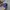 47 Brand Sportswear Casual Hat Pria blue photo 1