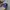 47 Brand Sportswear Casual Hat Pria Blue