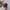 MLB Sportswear Casual Hat Pria navy photo 1