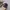 MLB Sportswear Casual Hat Pria Navy