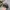 MLB Sportswear Casual Hat Pria gray photo 3