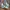 Nike Air Jordan Casual Sneakers Pria multicolor photo 4
