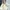 Vintage Puffer jacket Pria white navy photo 2