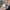 Adidas Streetwear Casual Sneakers Pria gray photo 5