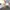 Adidas Streetwear Casual Sneakers Pria gray photo 6