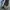 New Balance Futurist Sneakers Kids blue photo 2