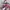 Luxury Handbag Wanita multicolor photo 1