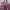Luxury Handbag Wanita multicolor photo 2