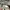 Atmos Vintage Streetwear Track jacket Pria tan photo 3
