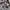 Atmos Vintage Streetwear Track jacket Pria tan photo 5