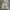 Atmos Vintage Streetwear Track jacket Pria tan photo 1