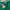 Cardinal Minimalist Short Wanita green photo 4