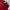 K-Swiss Coquette Casual Track jacket Wanita white red photo 3