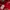 K-Swiss Coquette Casual Track jacket Wanita white red photo 4