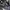 Le Coq Sportif Streetwear Y2K Windbreaker Pria black photo 4