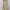 Vintage Y2K Bodycon dress Wanita tan cream photo 4