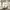 Vintage Streetwear Pria multicolor photo 1