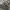 Vintage Y2K Pria white photo 5