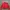 Japanese brand Vintage Biker Windbreaker Pria red photo 1