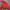 Japanese brand Vintage Biker Windbreaker Pria red photo 5