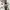 Fossil Streetwear Futurist Pria black photo 2