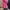 Vintage Blazer Wanita pink photo 3