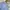Versace Vintage Y2K Short Pria blue photo 3