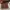 Bonia Vintage Y2K Messenger bags & Satchel Wanita red brown photo 4