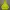 Uniqlo Sportswear Minimalist Hoody Pria Yellow
