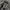 Burberry Luxury Casual Boyfriend jeans Wanita black photo 5