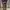 Streetwear Minimalist Casual pants Pria brown photo 1